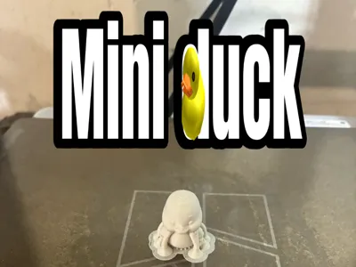 mini duck