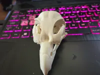 0.12mm layer, 2 walls, 15% infill