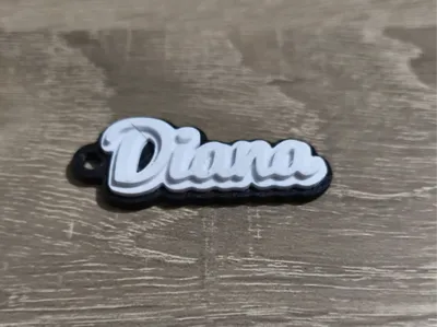 Keychain Diana Multicolor Black/White