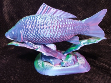 Carp Trophy
