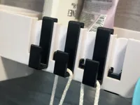 0.2mm layer, 3 walls, 15% infill