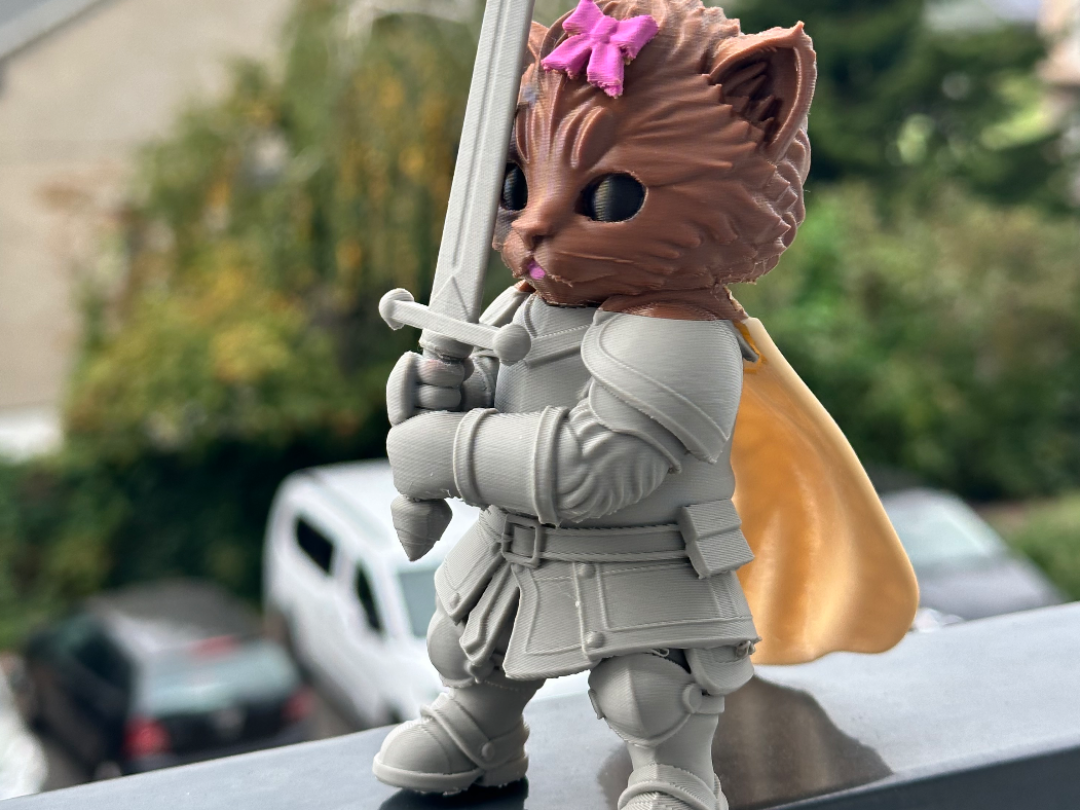Cat knight / Котик с мечом - 1