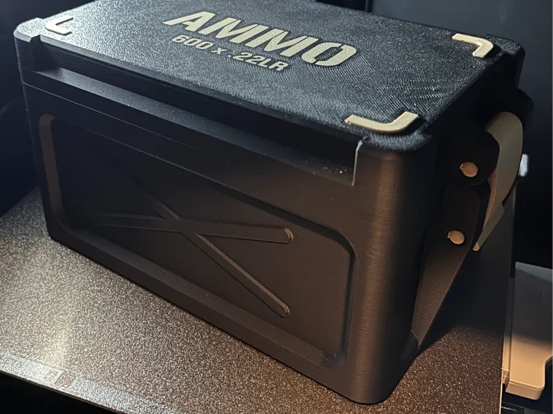 .22 Ammo Storage Box