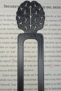 0.2mm layer, 2 walls, 10% infill