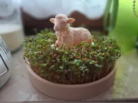 0.16mm layer, 3 walls, 15% infill