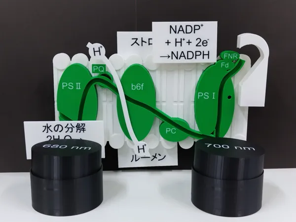 https://makerworld.bblmw.com/makerworld/model/USc45defe0ae93d2/design/2025-11-25_8ab03b1820bc98.jpg