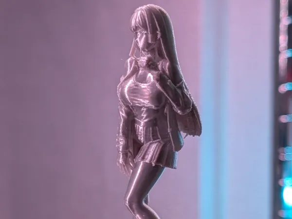 https://makerworld.bblmw.com/makerworld/model/USc45e1b6fa2928f/design/30124b4dd24f7728.jpg