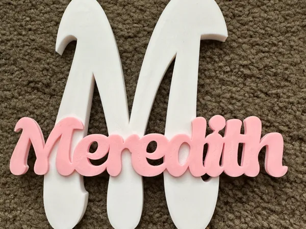 https://makerworld.bblmw.com/makerworld/model/USc462ef2254e538/design/2025-04-26_14833bd053a3b.jpeg