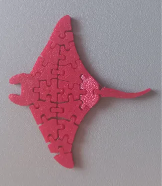manta snodata