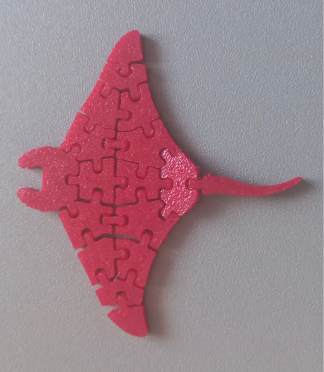 manta snodata