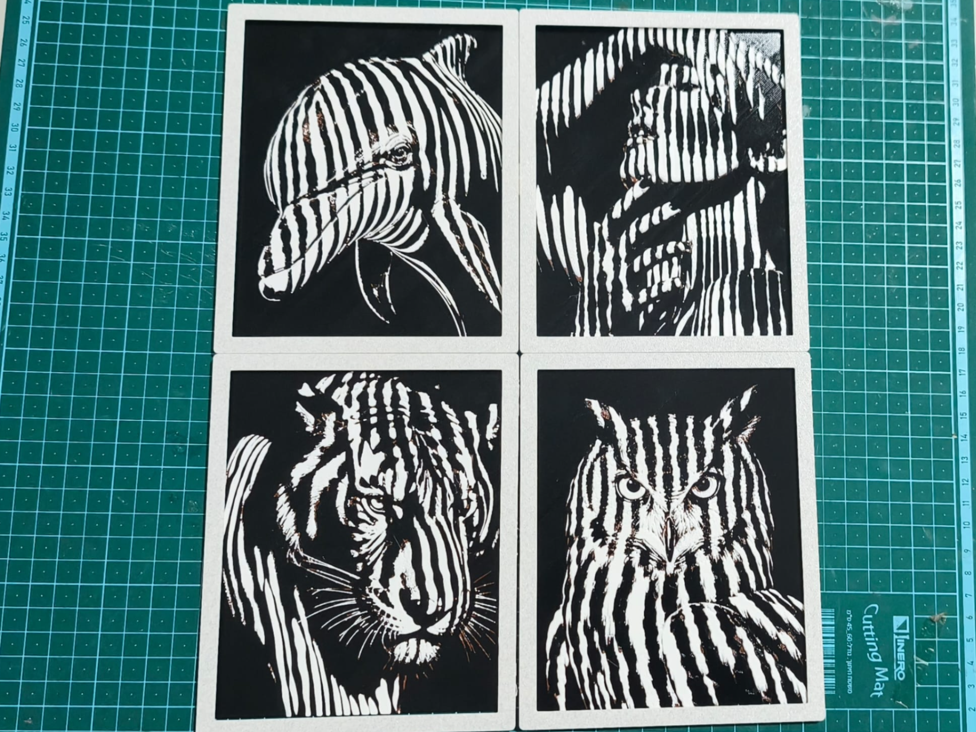 Striped Shadows Series – Snap Display Frame