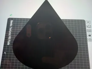 giant cone