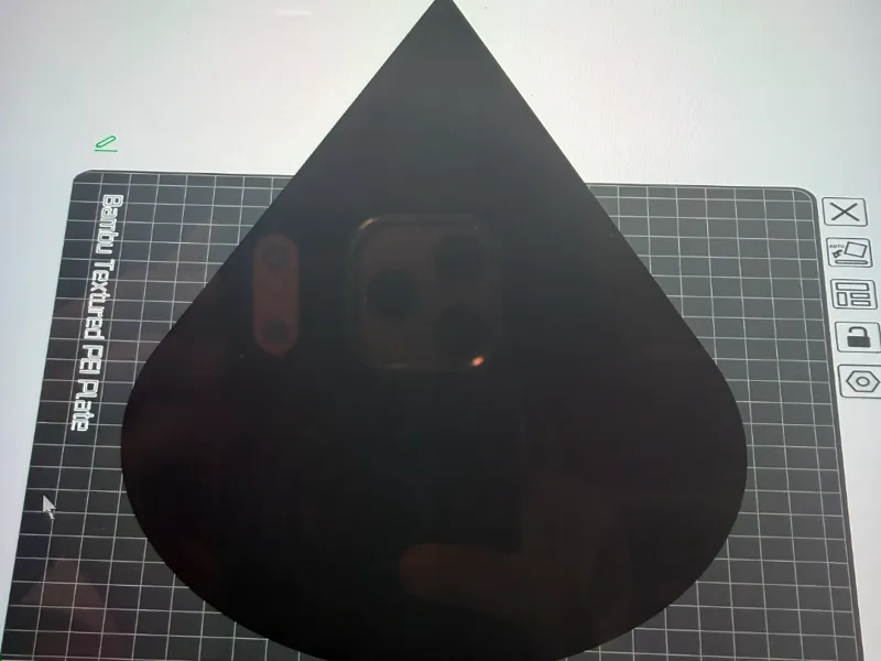 giant cone