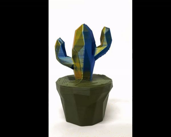 Cowboy Cactus