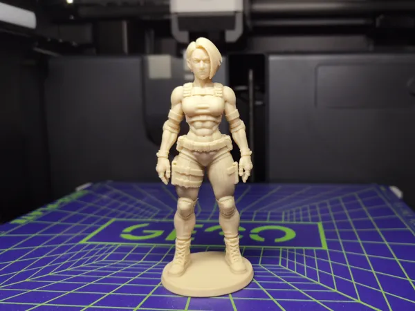 https://makerworld.bblmw.com/makerworld/model/USc46d0d77c84453/design/b7f5245873f45eea.jpg