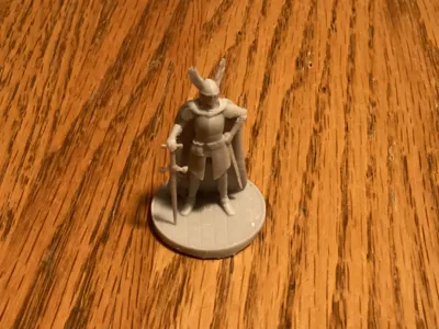 Female Human Fighter