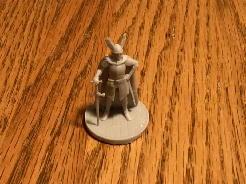Female Human Fighter