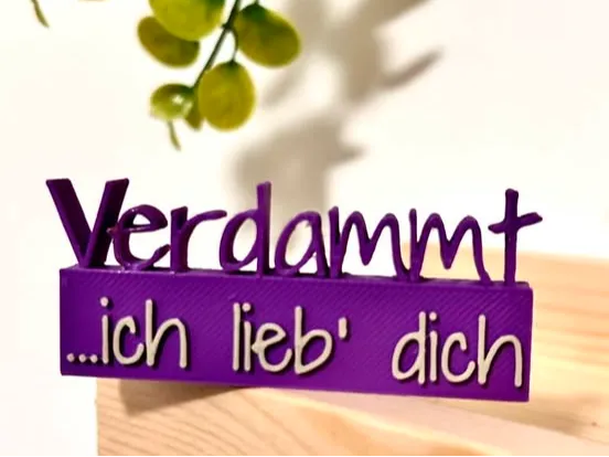 Verdammt ich lieb dich