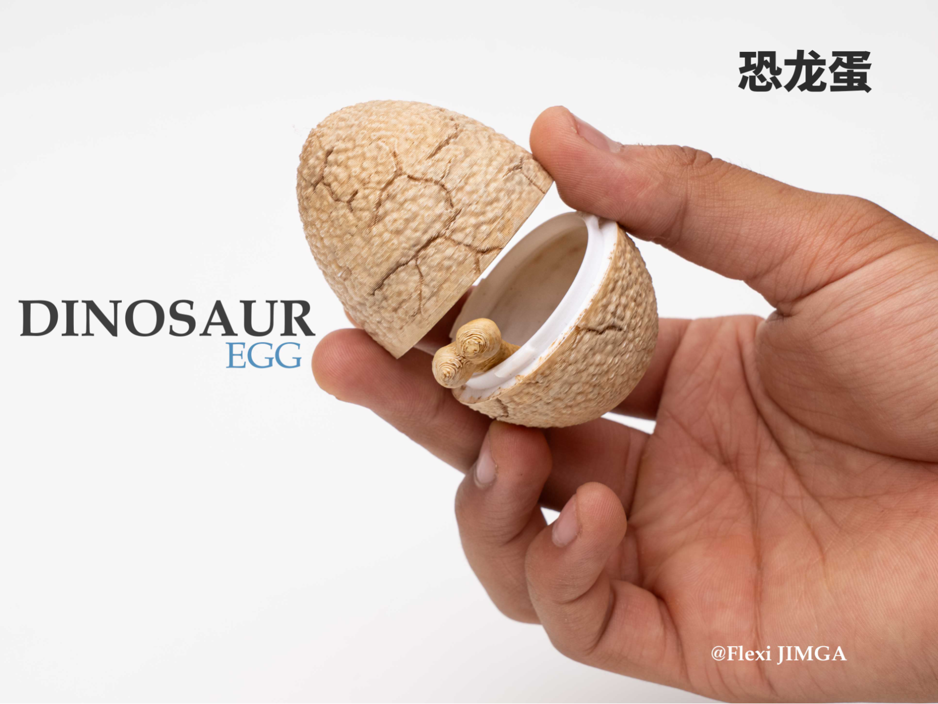 Dinosaur Egg Container