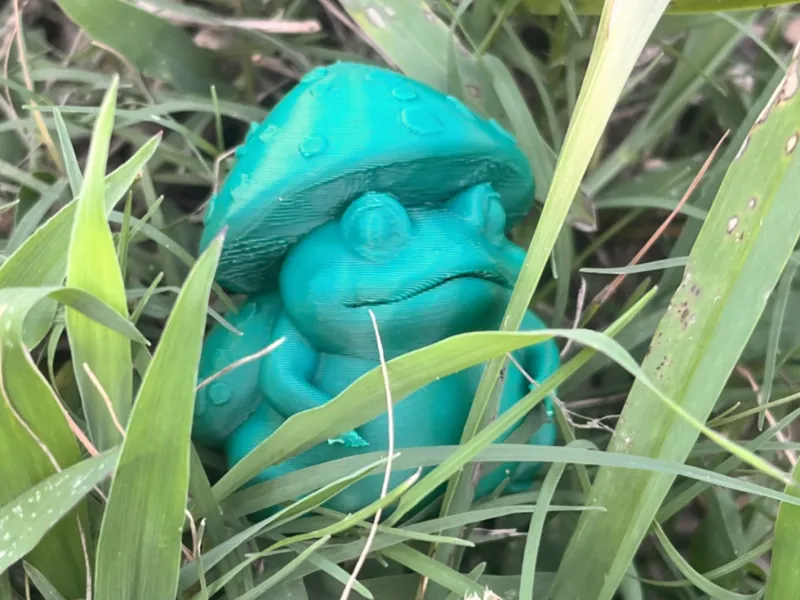 Toad Mushroom Statue