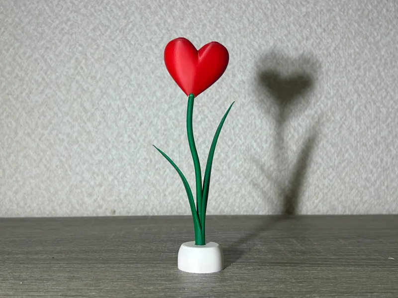 Heart_Tulip