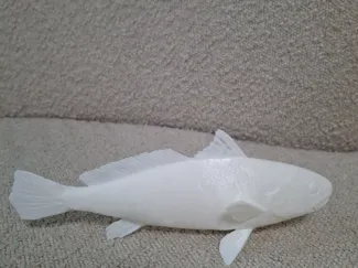 물고기