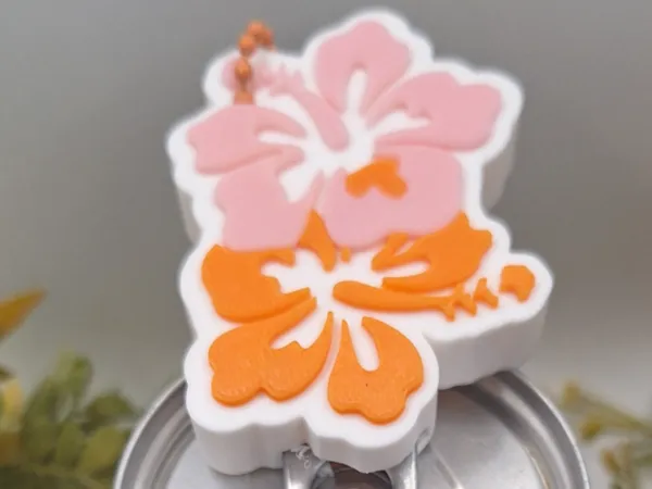 https://makerworld.bblmw.com/makerworld/model/USc47eabbf54917b/design/c6ff7fe3aab68c2f.jpg