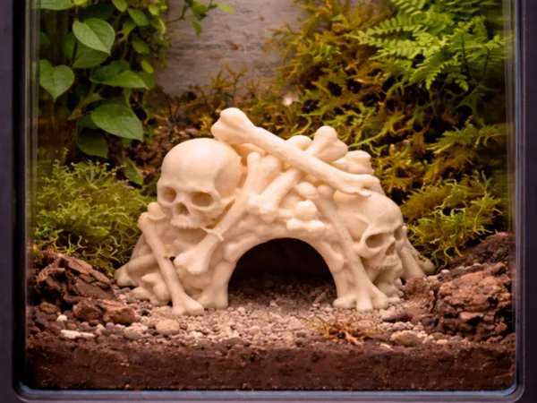 https://makerworld.bblmw.com/makerworld/model/USc47ef54a87bd52/design/f73126320abe6055.png