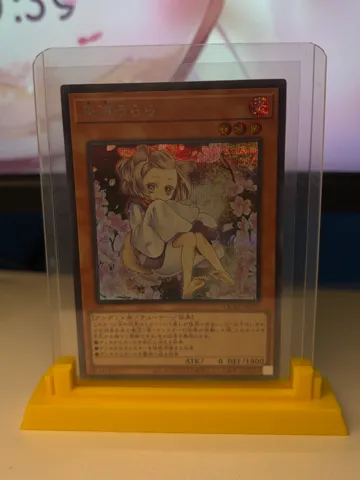 Soporte: TCG Card Display Rack — vista de referencia 2