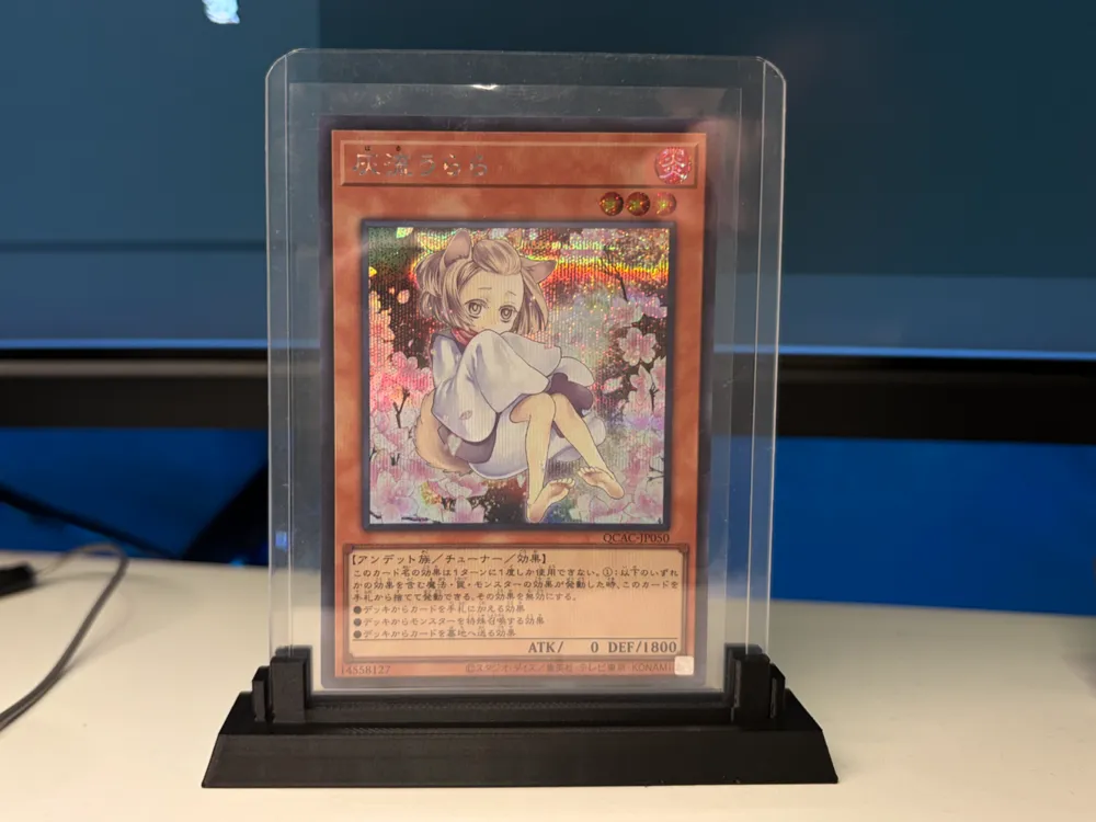 Soporte: TCG Card Display Rack. Referencia del modelo original.