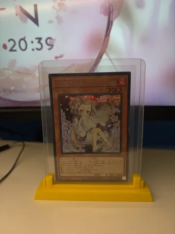 Soporte: TCG Card Display Rack — vista de referencia 4