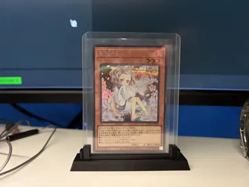 Soporte: TCG Card Display Rack — vista de referencia 3