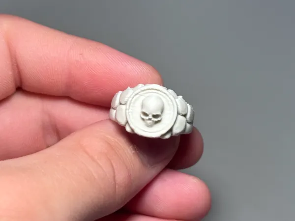 https://makerworld.bblmw.com/makerworld/model/USc4842d81295757/design/2025-06-09_d53683c4efdd38.jpg
