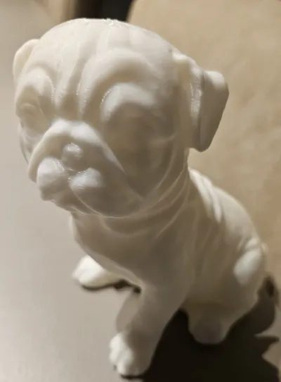 My dog