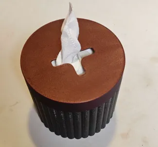 Tissue box / toilet paper box with mount
