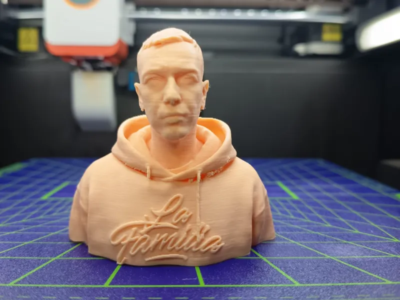 Sisu Bust
