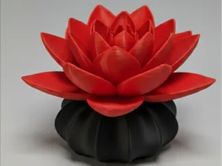 FIORE DI LOTO IN VASO