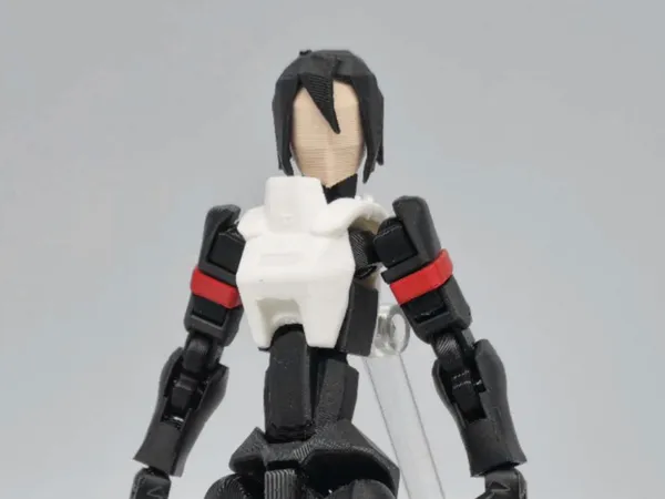 https://makerworld.bblmw.com/makerworld/model/USc49109f2757b2a/design/2025-06-19_cb8b240edd48a8.jpg