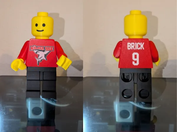 https://makerworld.bblmw.com/makerworld/model/USc49222737abd2/design/d695654a0f02807a.jpg