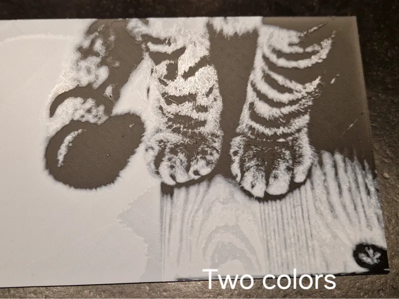 Cat Paw Hueforge Picture