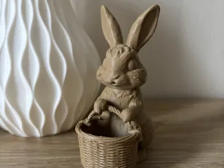 Lapin de Pâques avec Panier