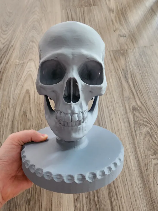 https://makerworld.bblmw.com/makerworld/model/USc49758fedb3392/design/2024-02-14_319af51efe1d5.jpg