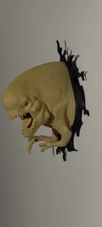 A1 mini_Drex_Wall_110x112mm 0.2mm layer, 2 walls, 5% infill