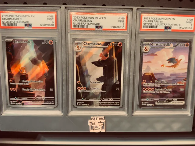 Premium PSA Display Stand | 2 & 3 Slabs
