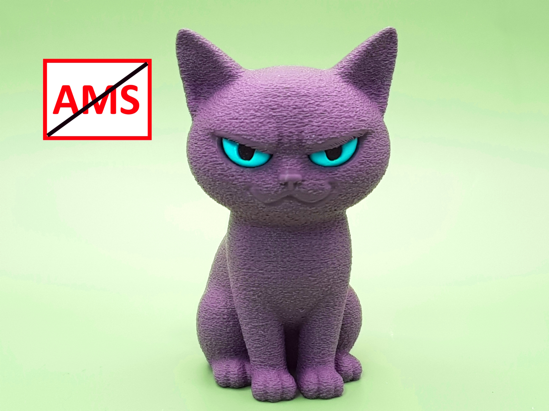 NO AMS smart cat !