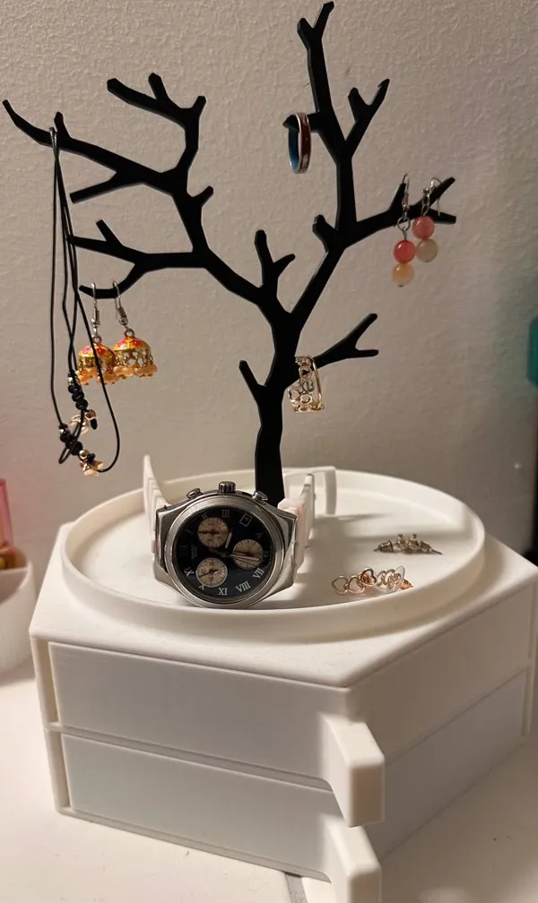 https://makerworld.bblmw.com/makerworld/model/USc4a36c0b868106/design/2024-12-29_9e692755b0439.jpg