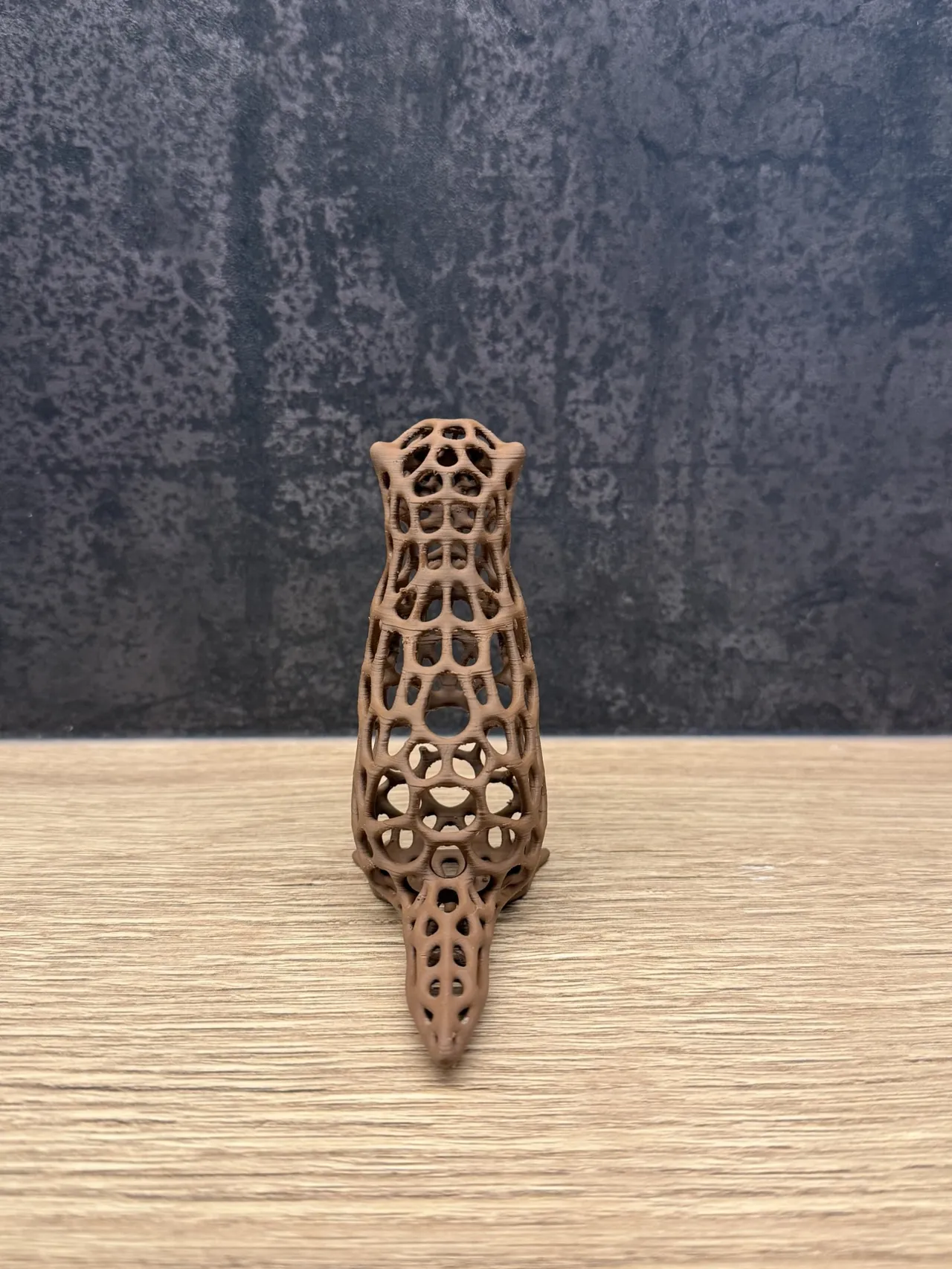 Voronoi Sea Otter view 3