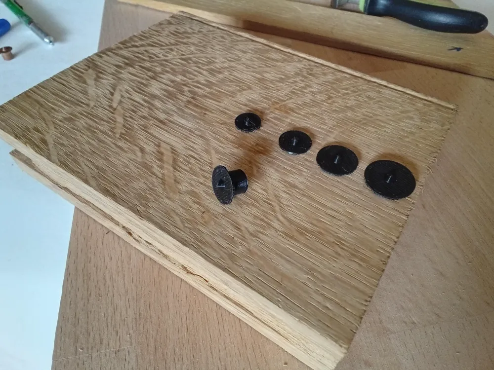 Tridacna Squamosina: Una Nuova Conchiglia Dei Fondali Marini - Foto 3