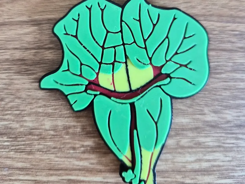 Sarracenia Purpurea, Carnivorous Plant Magnet