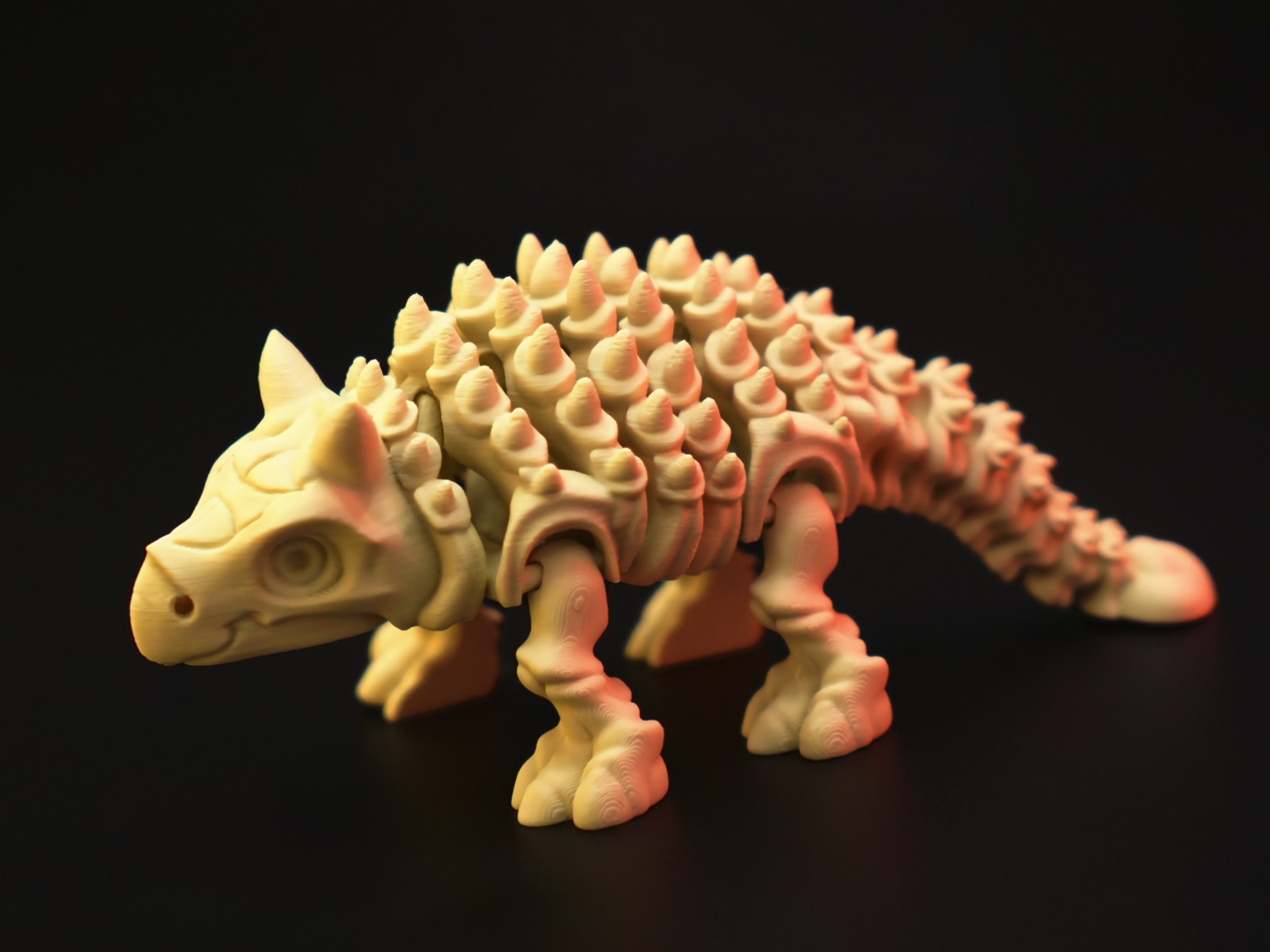 Articulated Skeletal Ankylosaurus